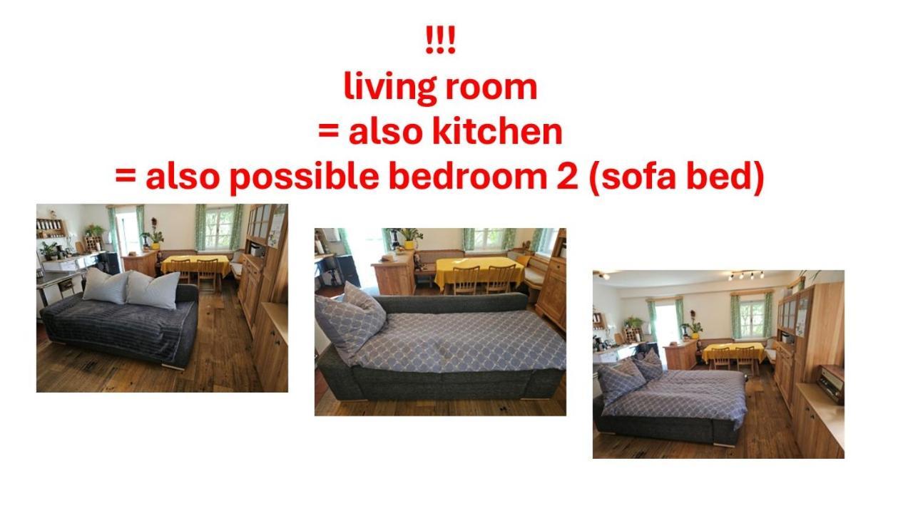 Appartement Premium Apartment Mit Privatem Whirlpool, Sauna, Garten Sankt Martin am Grimming