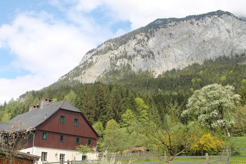 Apartment Ferienwohnung Salza Sankt Martin am Grimming